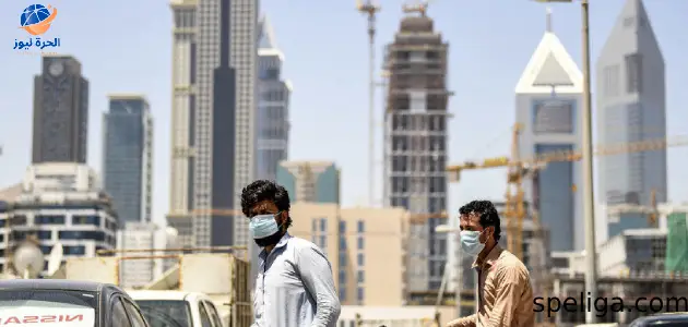 الإمارات تطلق تأشيرة استكشاف فرص عمل.